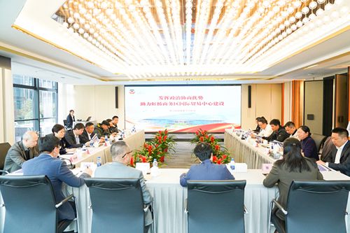 20241119为虹桥国际中央商务区国际贸易中心新平台建设贡献政协力量.jpg