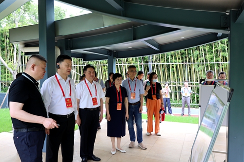 ﻿20250619区政协开展常委会前专题知情视察活动.jpg